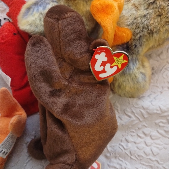 Beanie babies - Picture 12 of 16